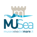 musea